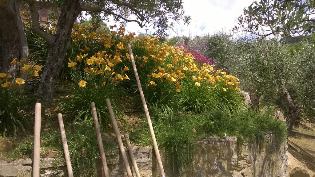Piccolo Relais Galletto Di Marzo Spa E Relax Solo Per Due Paciano Екстер'єр фото